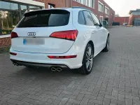 Gebraucht Audi SQ5 Design 313 PS (230 kW) 2014 Weiß SUV