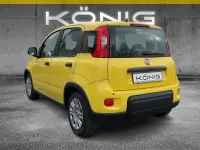 Neu Fiat Panda 69 PS (50 kW) 2025 Positano gelb dach schwarz (ge Kleinwagen