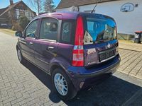 Gebraucht Fiat Panda 69 PS (50 kW) 2011 Violett Kleinwagen