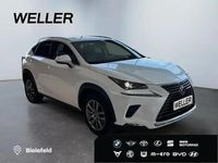 Gebraucht Lexus NX300h 197 PS (144 kW) 2018 Titaniumweiß SUV