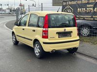 Gebraucht Fiat Panda Active 54 PS (39 kW) 2009 Kleinwagen