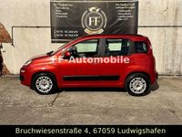 Gebraucht Fiat Panda Lounge 69 PS (50 kW) 2012 Orange Kleinwagen