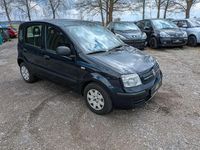 Gebraucht Fiat Panda Active 54 PS (39 kW) 2009 Blau Kleinwagen