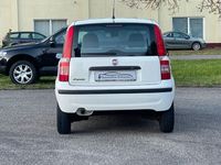 gebraucht Fiat Panda 1.2 8V Dynamic