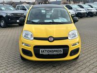 Neu Fiat Panda Icon 69 PS (50 kW) 2026 Gelb Limousine