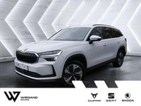 Gebraucht Skoda Kodiaq Selection 204 PS (150 kW) 2025 Moonweiß perleffekt SUV