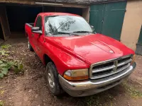 Gebraucht Dodge Dakota 175 PS (128 kW) 2002 Rot Pickup