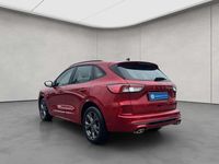 Gebraucht Ford Kuga ST-Line 151 PS (111 kW) 2024 Rot SUV