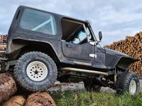 Gebraucht Jeep Wrangler 184 PS (135 kW) 1994 Schwarz SUV