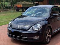 gebraucht VW Beetle schwarz