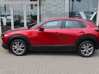 gebraucht Mazda CX-30 2024 M-Hybrid Exclusive-Line X-186 AT DASO *sofort