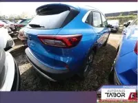 Neu Ford Kuga ST-Line 186 PS (136 kW) 2026 Blau SUV