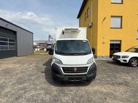 Gebraucht Fiat Ducato 2019 Weiss Van