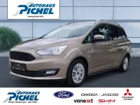 Gebraucht Ford Grand C-Max Cool & Connect 125 PS (91 kW) 2019 Silber(metallic) Van / Kleinbus