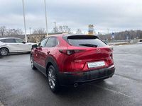 Gebraucht Mazda CX-30 Selection 122 PS (89 kW) 2023 Rot SUV
