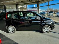 Neu Fiat Panda 69 PS (50 kW) 2025 Schwarz Limousine