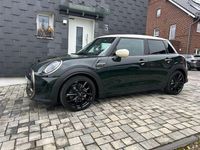 Gebraucht Mini Cooper S Resolute Edition 178 PS (130 kW) 2023 Grün Kleinwagen