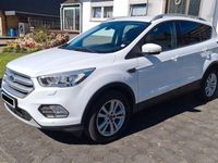 Gebraucht Ford Kuga Titanium 150 PS (110 kW) 2019 Weiß SUV