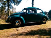 Gebraucht VW Käfer 30 PS (22 kW) 1965 Blau Limousine