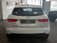 Gebraucht Jaguar E-Pace S 294 PS (216 kW) 2020 Weiß SUV