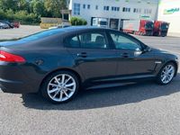 gebraucht Jaguar XF V6 3.0 Diesel Keyless Camera Leder