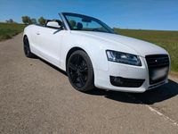 Używany Audi A5 Cabriolet 211 KM (155 kW) 2009 Biały Kabriolet