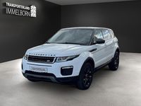 Gebraucht Land Rover Range Rover SE 241 PS (177 kW) 2019 Weiß SUV
