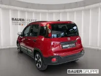 Neu Fiat Panda Cross Cross 65 PS (47 kW) 2026 Rot Kleinwagen