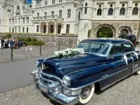 Gebraucht Cadillac Fleetwood 205 PS (150 kW) 1953 Blau Limousine