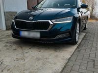 Gebraucht Skoda Octavia First Edition 150 PS (110 kW) 2020 Blau Kombi