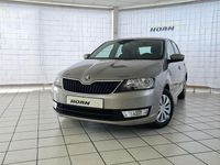 Gebraucht Skoda Rapid Ambition 86 PS (63 kW) 2014 Beige Kombi