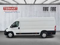 gebraucht Fiat Ducato Maxi