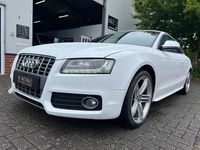Gebraucht Audi S5 Sport 354 PS (260 kW) 2009 Weiß Coupé