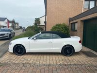 gebraucht Audi A5 Cabriolet A5 2.0 TDI DPF (clean diesel) quattro