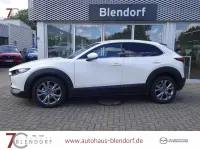 Gebraucht Mazda CX-30 Active 122 PS (89 kW) 2020 Satinweiß SUV