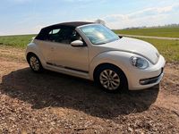 Gebraucht VW Beetle 105 PS (77 kW) 2014 Weiß Kleinwagen