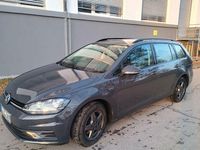 Gebraucht VW Golf VII Trendline 116 PS (85 kW) 2019 Grau Kombi