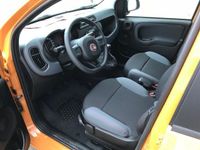 Gebraucht Fiat Panda Easy 69 PS (50 kW) 2019 Orange Kleinwagen