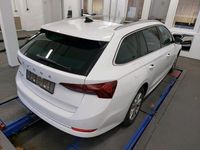 Gebraucht Skoda Octavia Style 150 PS (110 kW) 2023 Weiss Kombi
