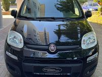 Gebraucht Fiat Panda 69 PS (50 kW) 2019 Nero profondo/cattivo/ Kleinwagen