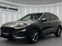Gebraucht Ford Kuga ST-Line X 150 PS (110 kW) 2024 Grau SUV