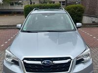 Second-hand Subaru Forester 147 CP (108 kW) 2017 SUV