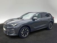 Second-hand Cupra Terramar 150 CP (110 kW) 2025 Gri SUV