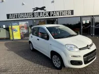 Gebraucht Fiat Panda Pop 69 PS (50 kW) 2016 Weiß Kleinwagen