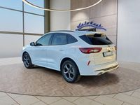 Neu Ford Kuga ST-Line 186 PS (136 kW) 2025 Frost weiß SUV