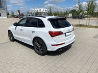 gebraucht Audi SQ5 3.0 TDI plus quattro PANO AHK B&O DAB u