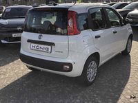 Neu Fiat Panda 69 PS (50 kW) 2026 Schwarz Kleinwagen