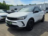 Gebraucht Opel Grandland X 131 PS (96 kW) 2022 Jade weiß SUV
