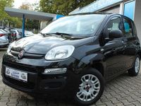 Gebraucht Fiat Panda Easy 69 PS (50 kW) 2018 Schwarz Kleinwagen
