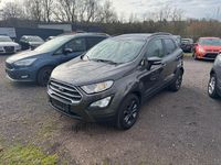 Gebraucht Ford Ecosport Titanium 125 PS (91 kW) 2019 Grau SUV